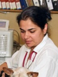 einat_yas