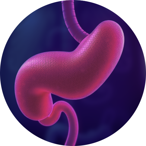 research-circle-gland.png