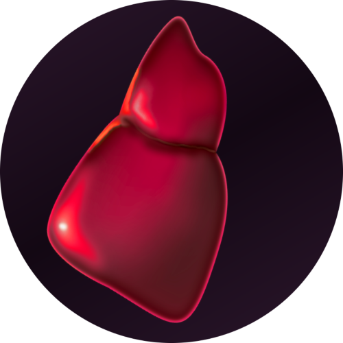 research-circle-liver.png