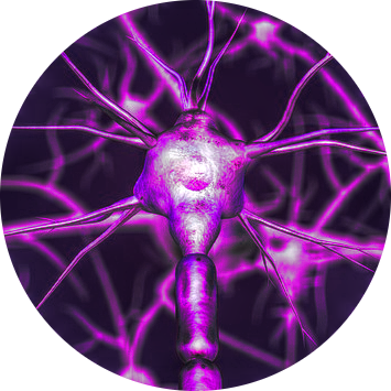 research-circle-neurons.png