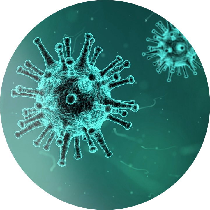research-circle-virus.png