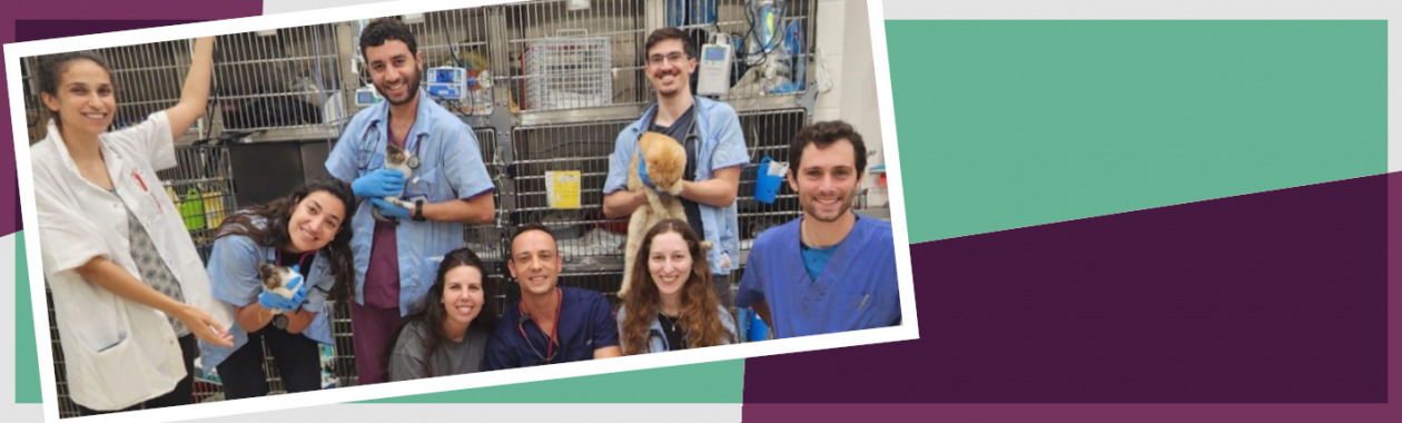 The David Hammer Shelter Medicine Program