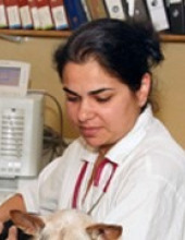 einat_yas